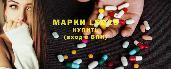 шишки Сясьстрой