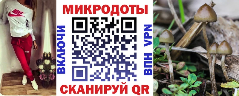 купить закладку  Кремёнки  Галлюциногенные грибы ЛСД 